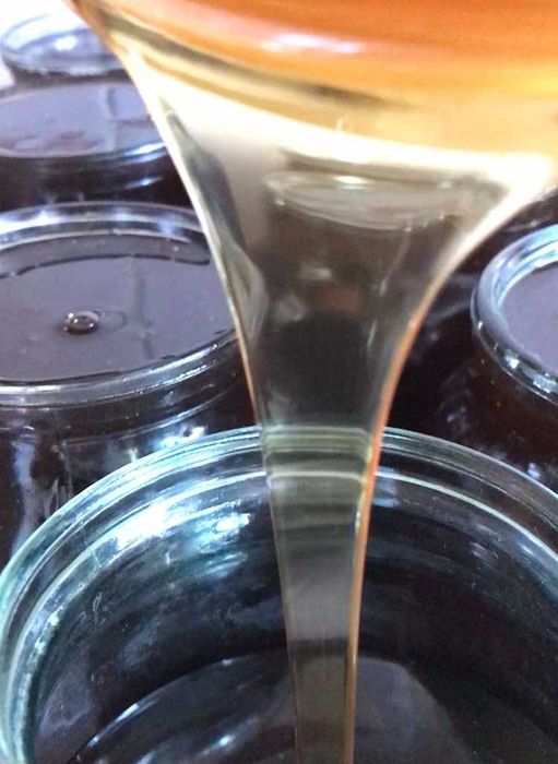 Мед натуральний 2023