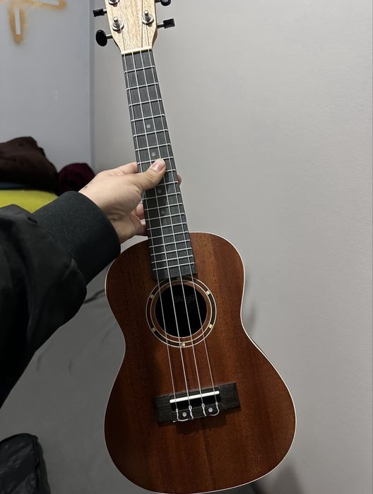 Ukulele + afinador