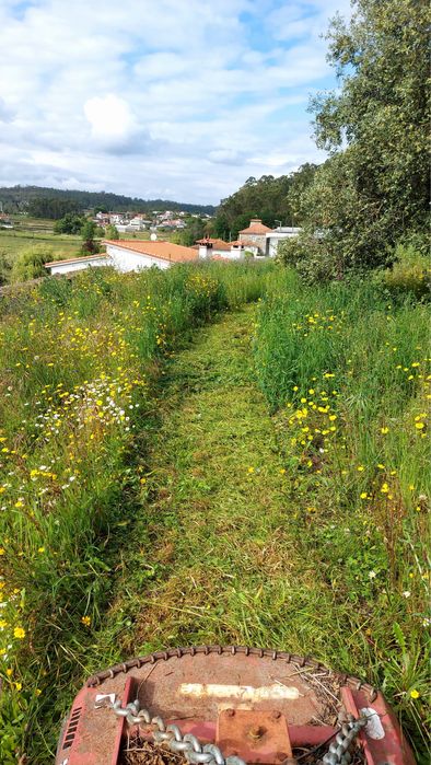 Limpeza de terrenos