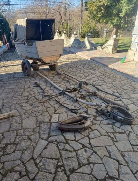 Бричка для Коня на ресорах