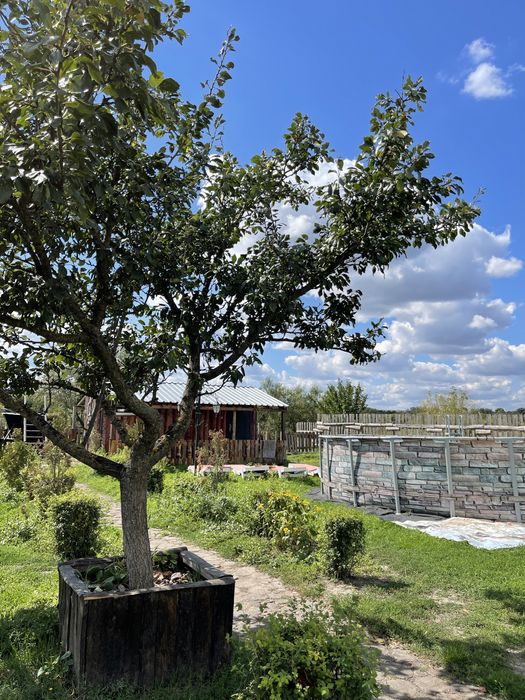 Комнаты посуточно, гостиница, отель, домики