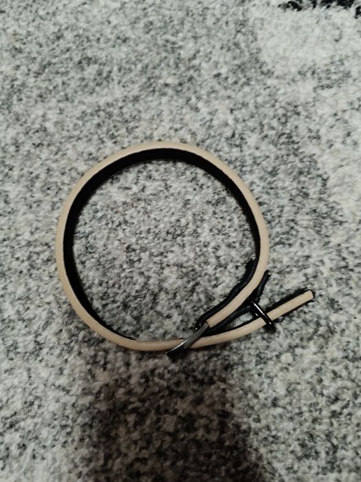 Речі  і амуніція для песика