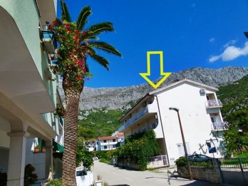 50 m do plaży Chorwacja Drvenik Apartamenty Nocleg Dom Kwatery Wakacje