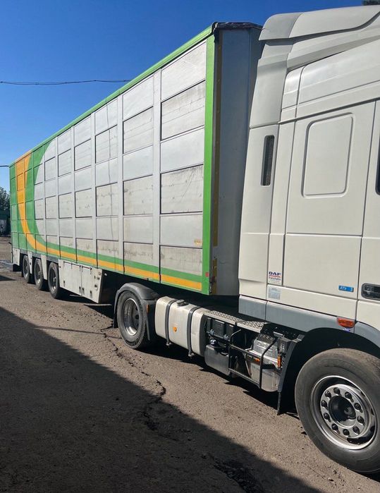 Скотовоз!!! Напівпричіп для перевезення тварин BERDEX!!!