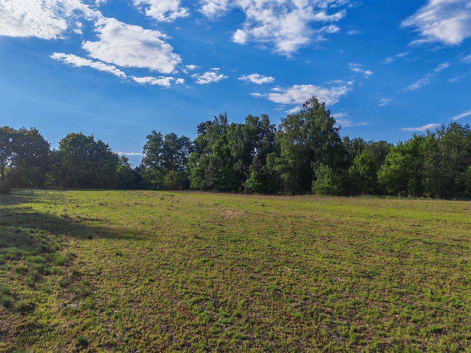 Malownicza Działka 1700 m² z WZ, w Dębe, 12 minut od placu Kilińskiego, Kalisz. - Widok 6