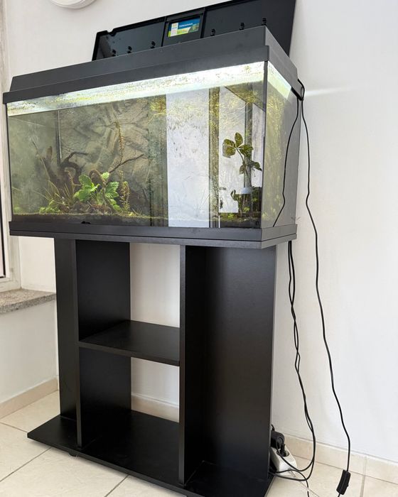 Aquário Juwel Rio + móvel – oportunidade