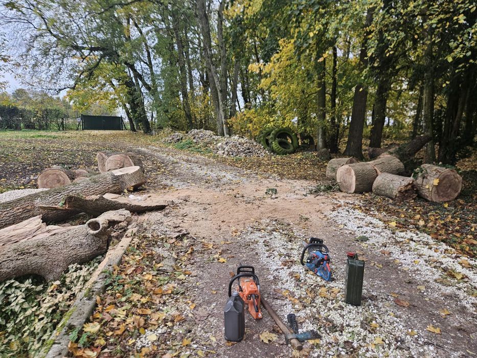 Fazemos ao preço que o cliente oferecer poda e serviços de jardinagem