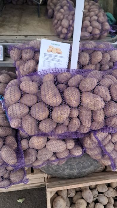 Картопля велика, є доставка