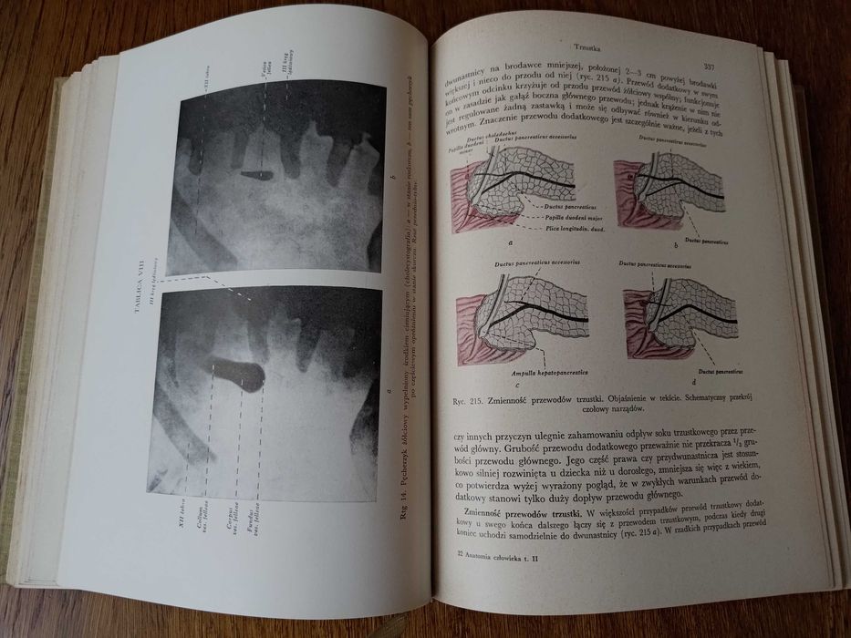 Anatomia człowieka , tom 2,  A.Bochenek , M.Reicher, W-wa 1969
