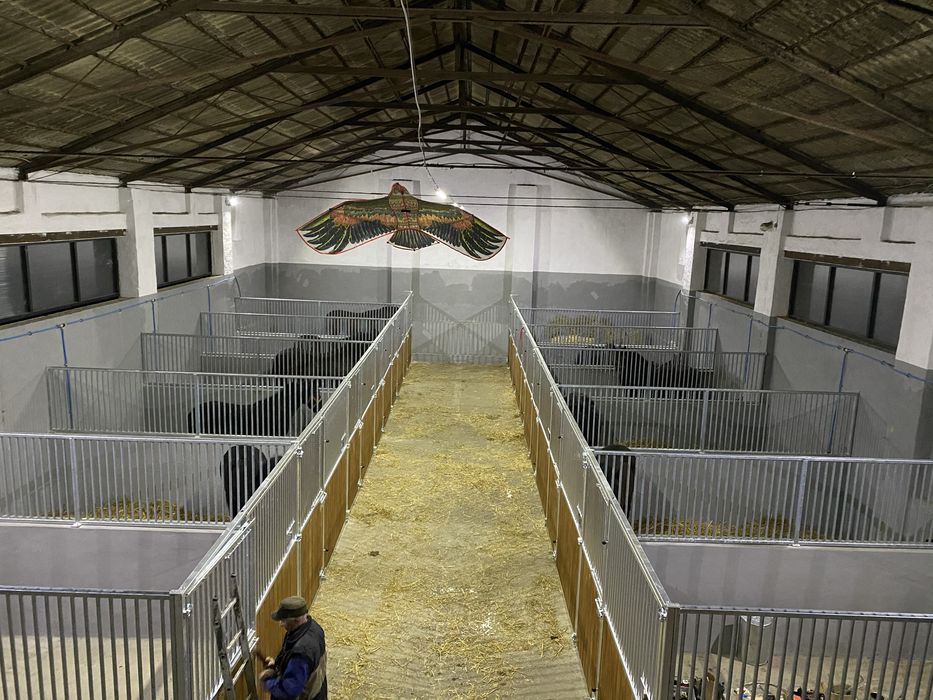 Pesjonat dla koni wolne boksy!!!