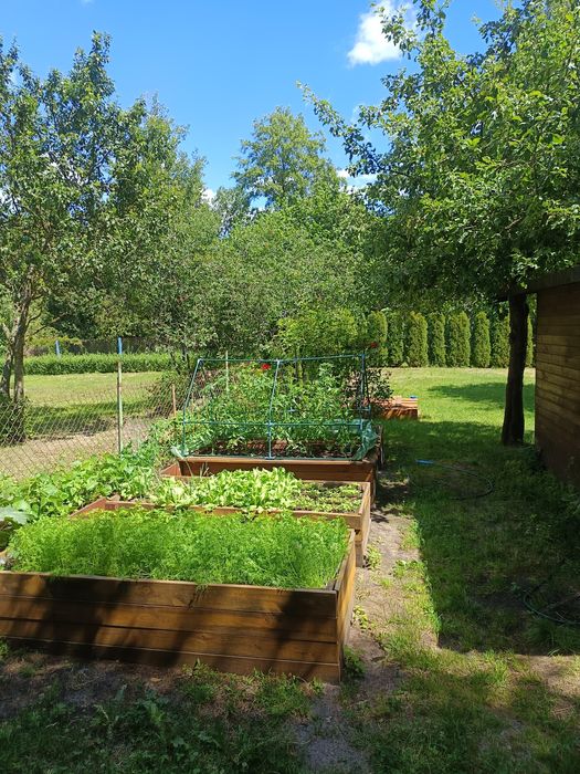 Piękna działka ROD