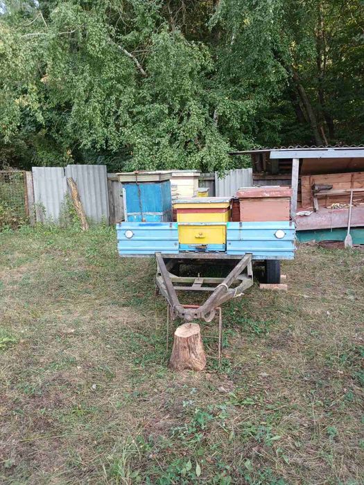 Пасіка, бджолосім'ї на причепі