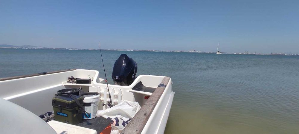 Vendo barco semi cabinado Sabor 460 em muito bom estado, motor novo