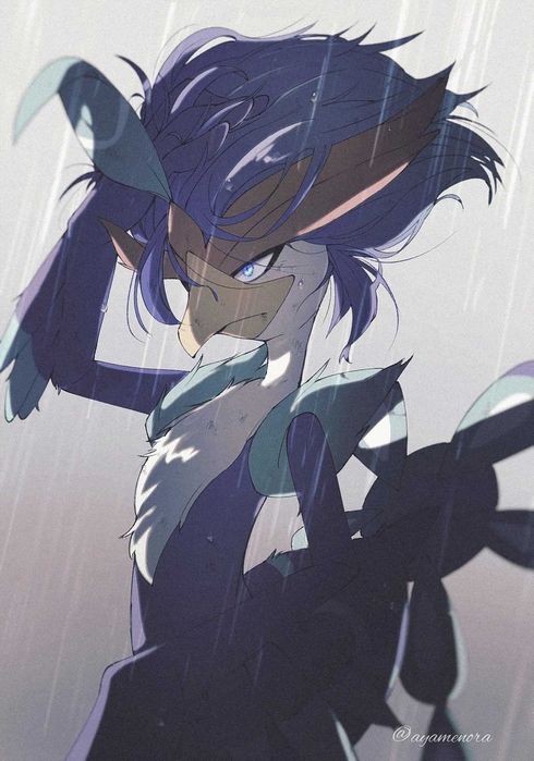 Karty Pokemon #0914 Quaquaval kolekcja