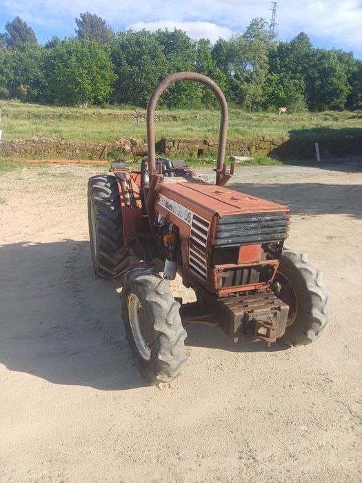 Trator fiat 55-66 vinhateiro