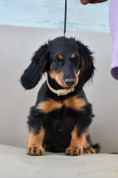 Девочки и мальчики с документами