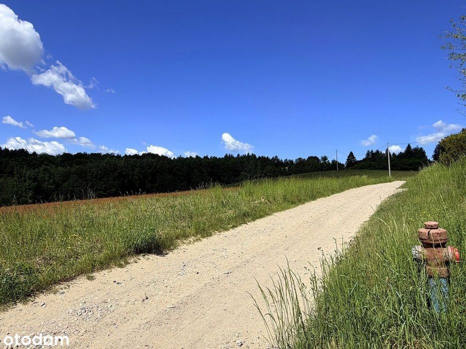 Działka na uboczu miejscowości, Pinczyn