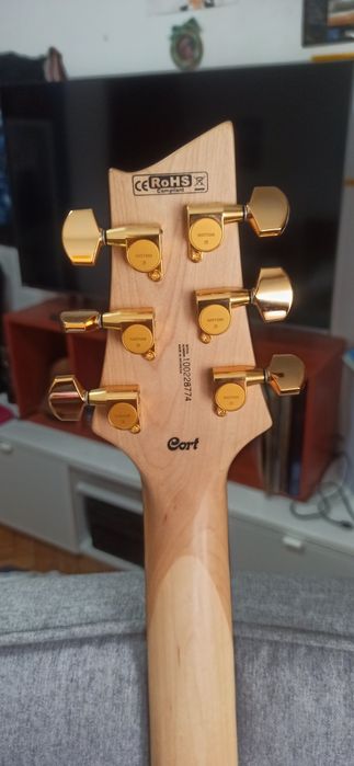 Cort Zenox Z40 - Custom made