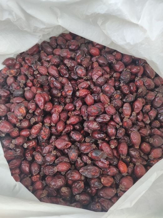 Ягоди гльоду сушені і свіжонарвані 2025 року