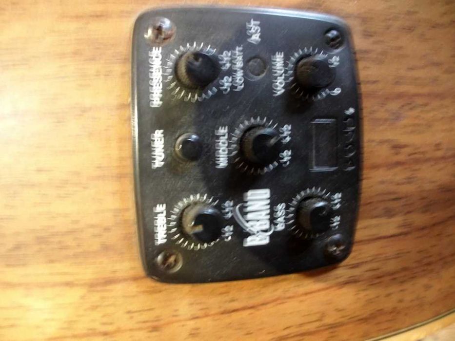 guitarra electroacoustica JAMES NELIGAN