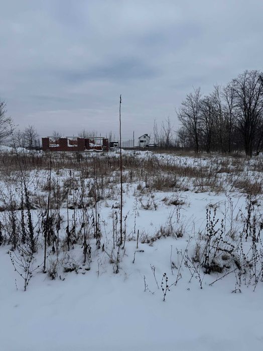 Ділянка від власника Шкуринці масив Поляна