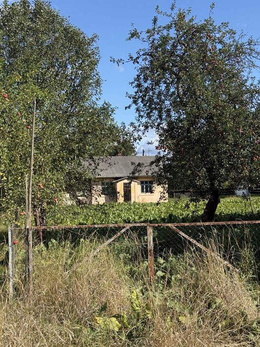Продам будинок у затишному селищі міського типу, центр селища, поблизу школа та ліс, магазини.
