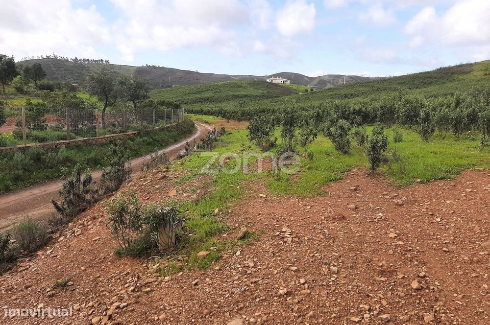 Terreno Rústico de 3 Hectares – Mexilhoeira Grande, Portimão — Mexilhoeira Grande, Faro