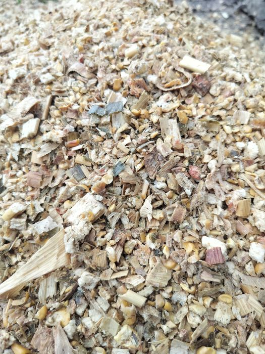 Kiszonka z kukurydzy w belach