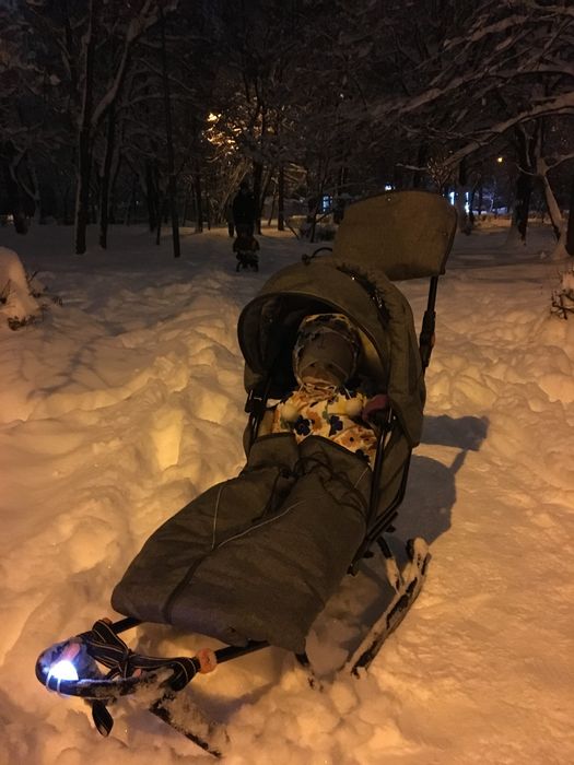 Дитячі Санки GiGi