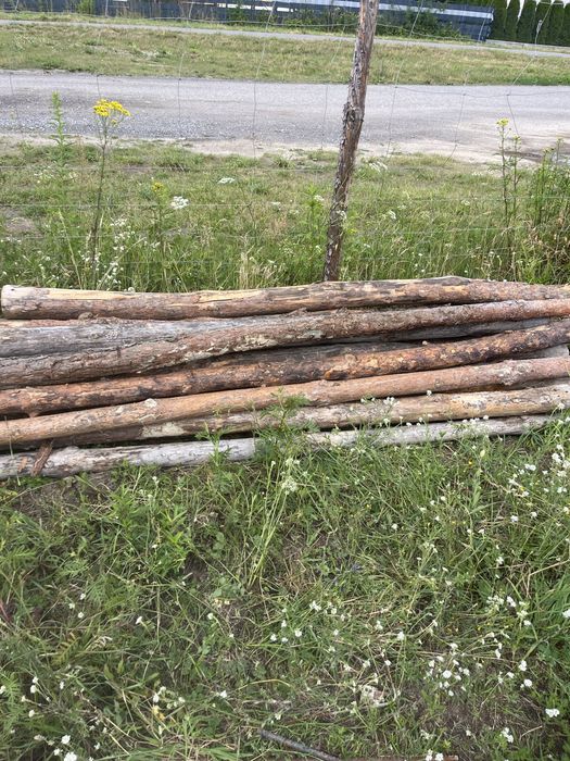Stemple grube 260-240cm