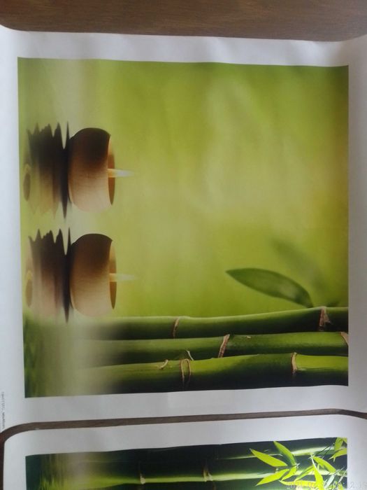 Telas modernas com bambus64585247646851123
