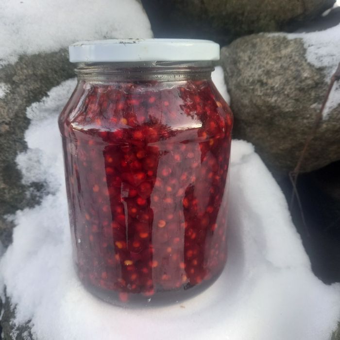 Лимонник китайский.ягода .