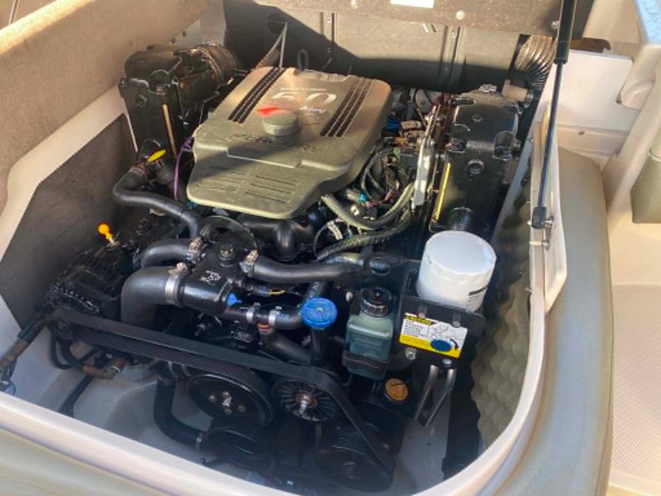 Sea Ray 200 Select 5L V8 260 km SUPER ZADBANA z przyczepą !!!