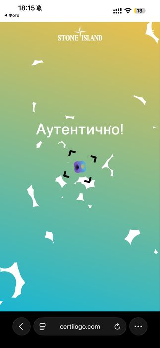 Жіночий худі Stone Island оригінал новий heron preston jacquemus Ami