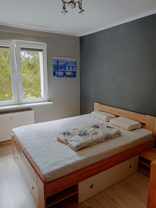 Komfortowe 2 pokoje z balkonem i windą / nowa kuchnia / os. Piaski - Widok 5