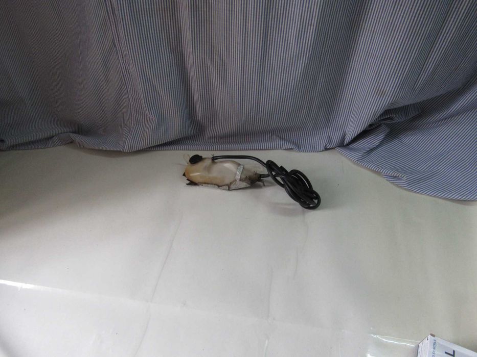 Peças Yamaha DTX125, DTR125E e DTR125cc