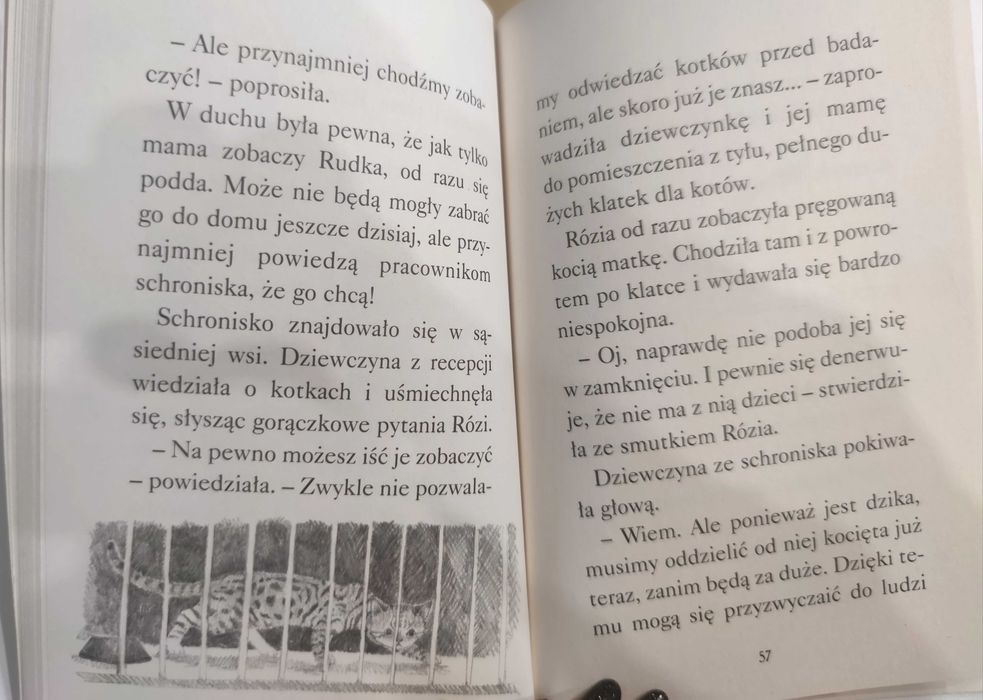 Zaopiekuj się mną. Gdzie jest Rudek? Holly Webb