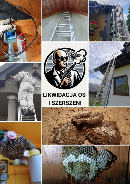 DDD usuwanie zwalczanie myszy szczurów pluskwy dezynsekcja deratyzacja