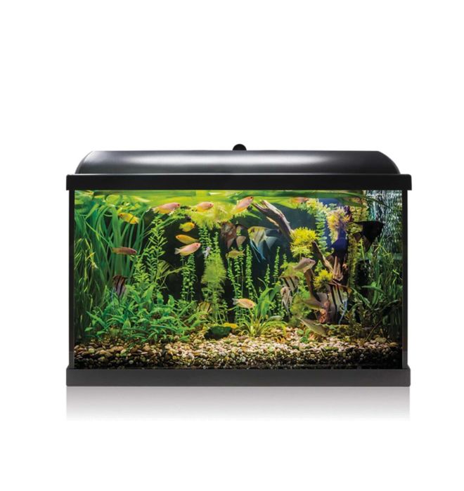 LOJA!! Aquário com Led 60 Litros KIT - NOVO!