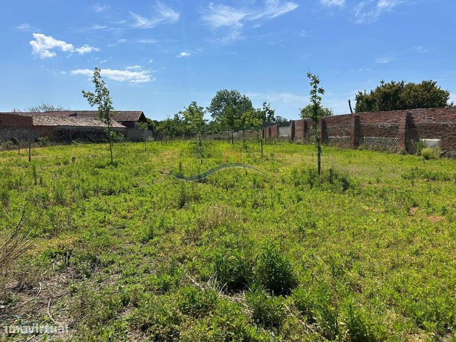 Terreno - Granja, Monte Real — Monte Real E Carvide, Leiria
