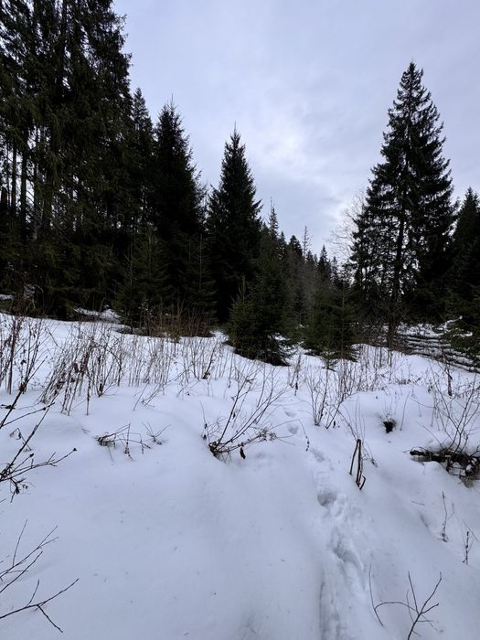 Ділянка в Карпатах біля річки ( Кривопільський перевал )