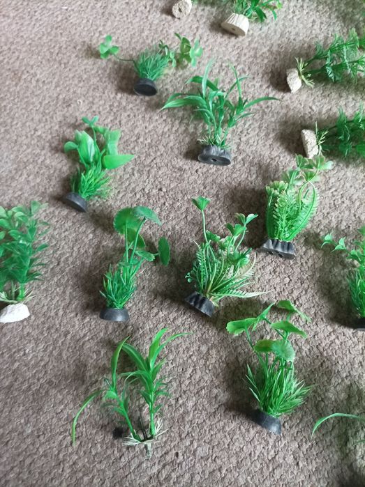 Sztuczne rośliny do akwarium