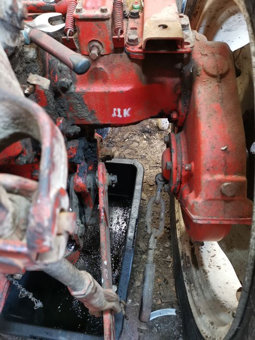 Zwolnice wladymirec t25 lewa prawa