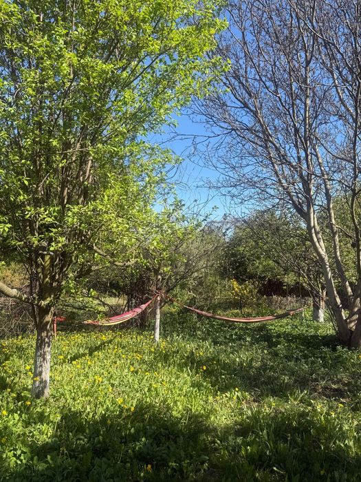 PROMOCJA Działka ROD Mandragora na Saskiej Kępie – 500 m² zieleni i spokoju - Widok 2