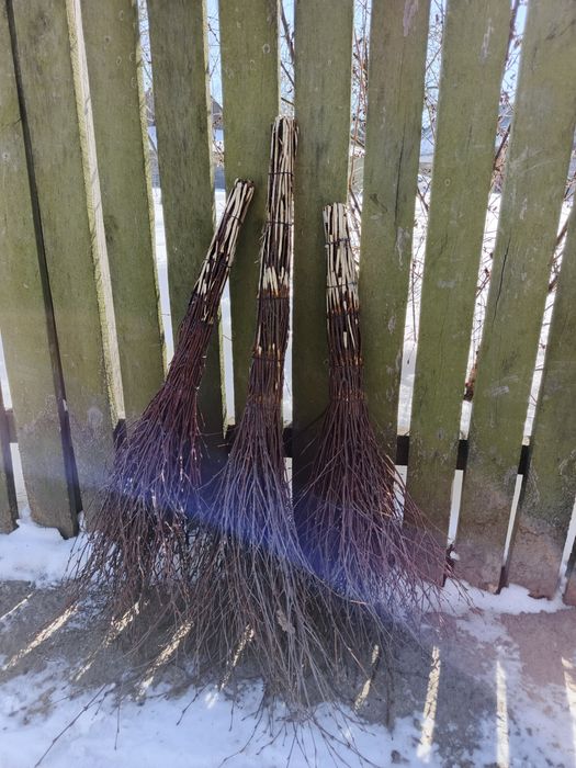Віник березовий, мітла