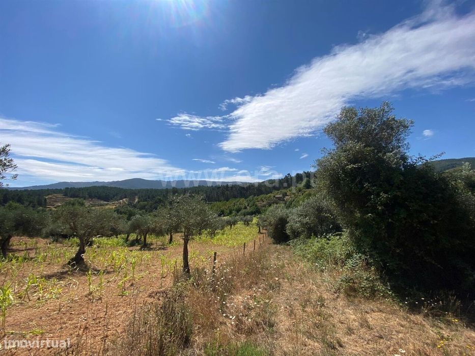 Terreno Rústico / Fundão, Castelejo