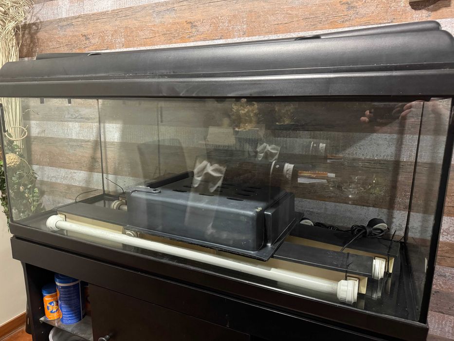 Aquário 220L completo
