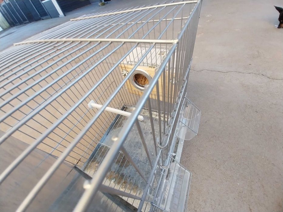 Gaiola pássaros - usada