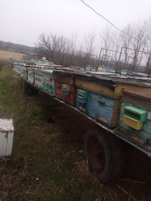 Платформа,прицеп