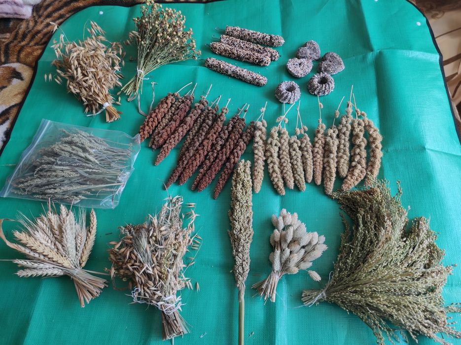 Смаколики для папуг